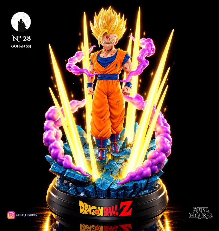 Gohan - Akaizustudio